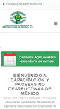 Mobile Screenshot of capacitacionypnd.com
